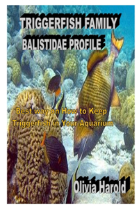 Triggerfish Family Balistidae Profile