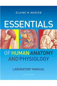 Essentials of Human Anatomy & Physiology Laboratory Manual