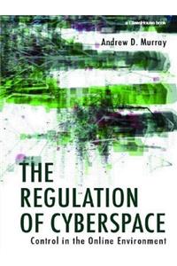 The Regulation of Cyberspace