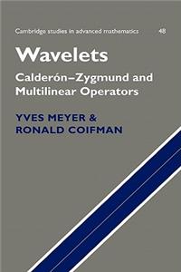 Wavelets