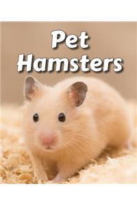 Pet Hamsters