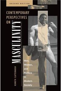 Contemporary Perspectives on Masculinity