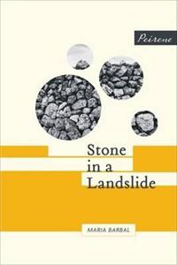 Stone in a Landslide