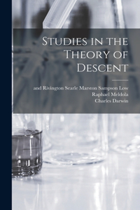 Studies in the Theory of Descent