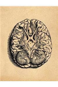 Anatomy Notebook