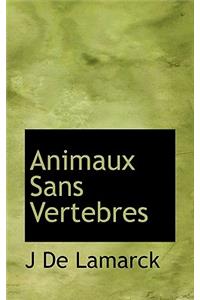 Animaux Sans Vertebres