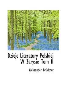 Dzieje Literatury Polskiej W Zarysie Tom II