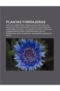 Plantas Forrajeras: Festuca, Agropyron, Sorghum Bicolor, Panicum Virgatum, Trifolium Repens, Festuca Arundinacea, Acrocomia Aculeata