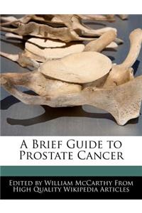 A Brief Guide to Prostate Cancer
