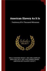 American Slavery As It Is: : Testimony Of A Thousand Witnesses