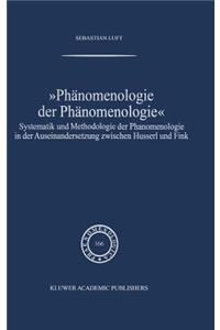 Phänomenologie Der Phänomenologie