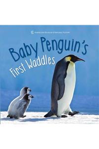 Baby Penguin's First Waddles