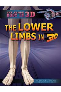 The Lower Limbs in 3D