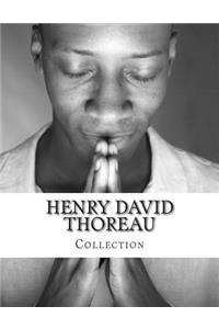 Henry David Thoreau, Collection