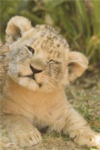 Lion Cub in the Grass Journal