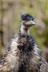 Emu Bird Journal