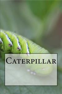 Caterpillar