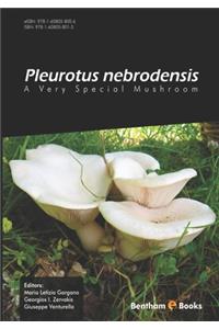 Pleurotus Nebrodensis