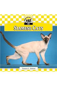 Siamese Cats