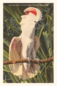Vintage Journal Salmon-Crested Cockatoo, Florida