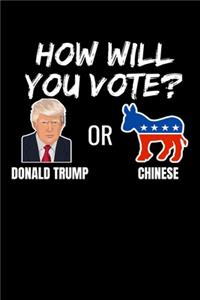 How Will You Vote? Donald Trump or Chinese