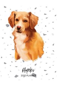 Alopekis 2020 Planner