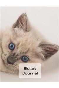 Bullet Journal