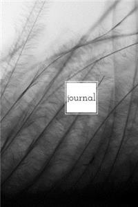Journal