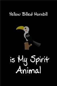 Yellow Billed Hornbill is My Spirit Animal