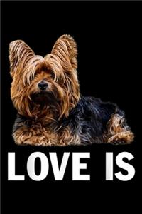 Love Is