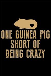 One Guinea Pig Short Of Being Crazy