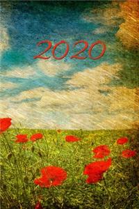 2020