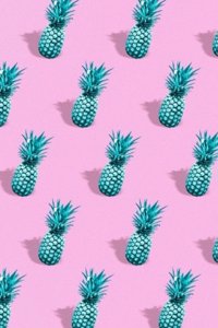 Pineapple Journal Notebook - Blank Paper