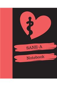 SANE-A Notebook