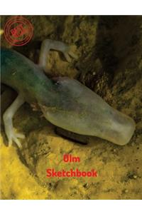 Olm Sketchbook