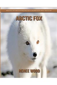 Arctic Fox