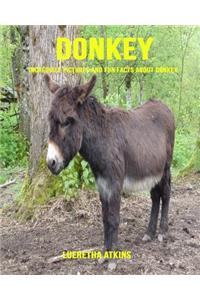 Donkey: Incredible Pictures and Fun Facts about Donkey
