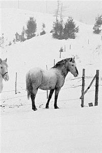 2019 Daily Planner Winter Theme Horses In Winter 384 Pages