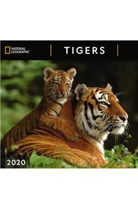 Cal 2020-National Geographic Tigers Wall