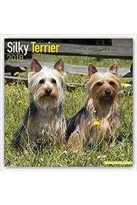 Silky Terrier Calendar 2018