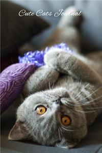 Cute Cats Journal