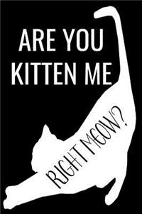 Are You Kitten Me Right Meow?: A 6 X 9 Inch Matte Softcover Paperback Notebook Journal with 120 Blank Lined Pages