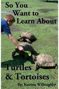 So You Want to Learn About Turtles & Tortoises