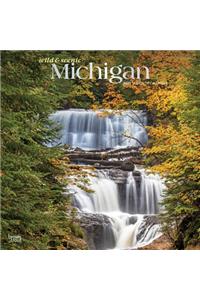 Michigan Wild & Scenic 2020 Square Foil
