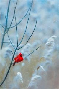 Red Cardinal - Blank Notebook: 101 Pages, 6 x 9 Journal, Soft Cover