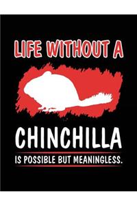 Life Without A Chinchilla Is Possible But Meaningless.