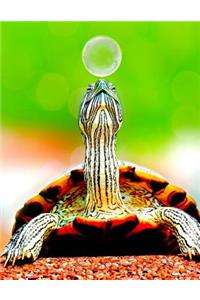 Turtle Bullet Journal