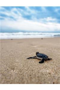 Sea Turtle Bullet Journal