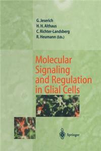 Molecular Signaling and Regulation in Glial Cells