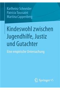 Kindeswohl zwischen Jugendhilfe, Justiz und Gutachter